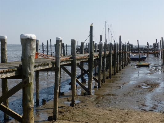 Beach sea coast water Photo