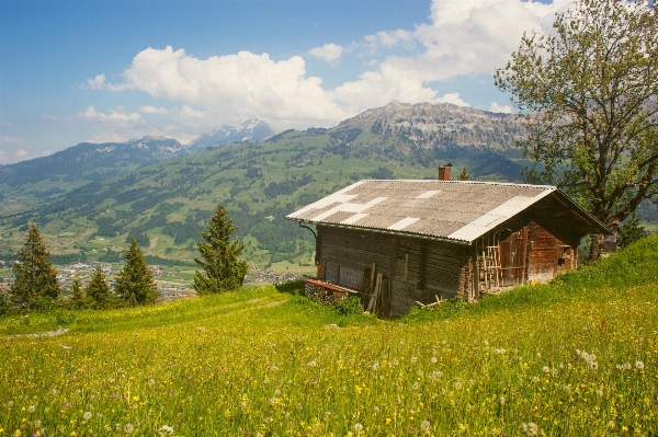 Landscape nature mountain field Photo