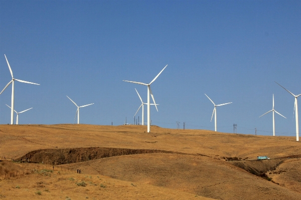 Field prairie windmill wind Photo