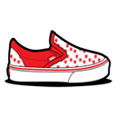 Vans Icon