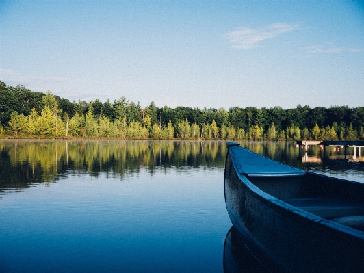 Water nature forest wilderness Photo