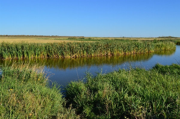 Landscape water nature grass Photo