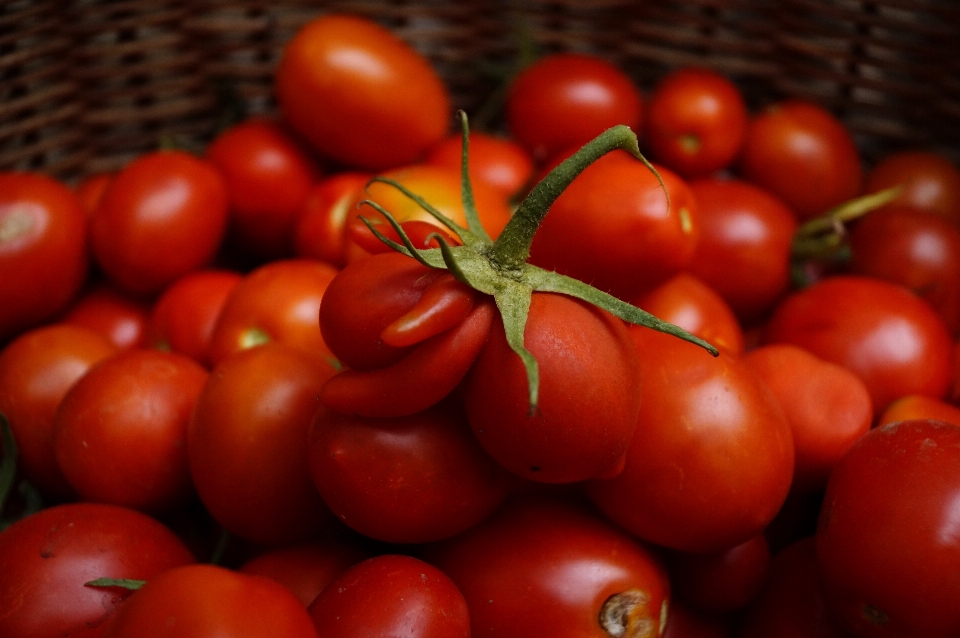 Plantar fruta comida vermelho