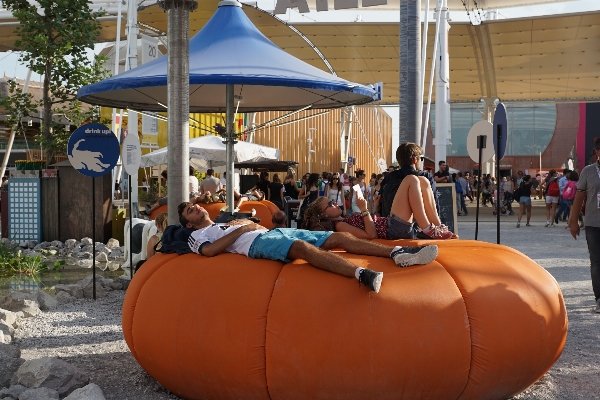 Relax amusement park pumpkin Photo