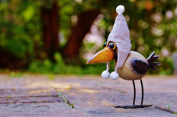 Nature bird meadow sweet Photo