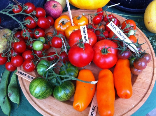 Foto Planta fruta alimento producir