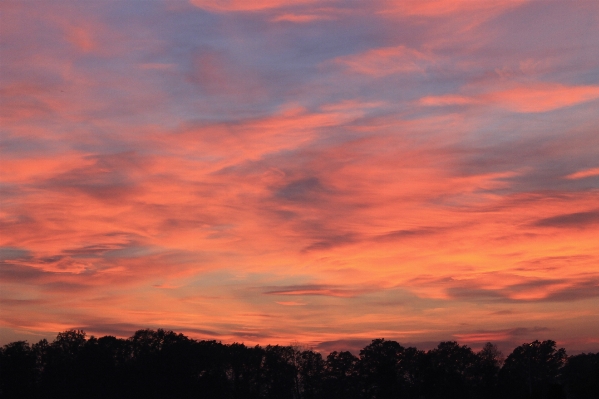 Landschaft natur horizont wolke Foto