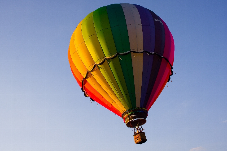 Sayap langit balon udara