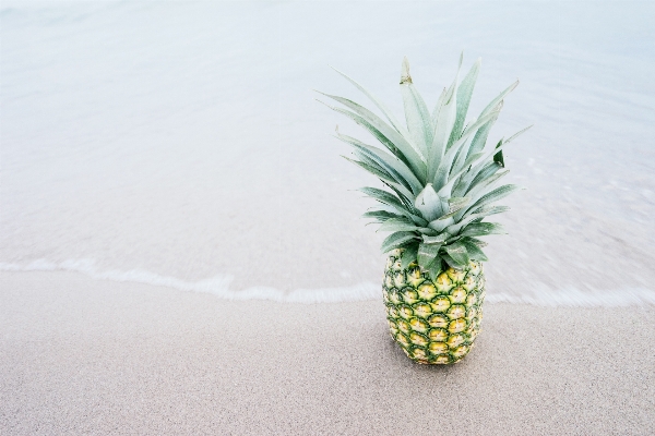 Foto Praia areia plantar fruta