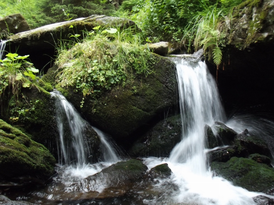 Acqua natura cascata fiume