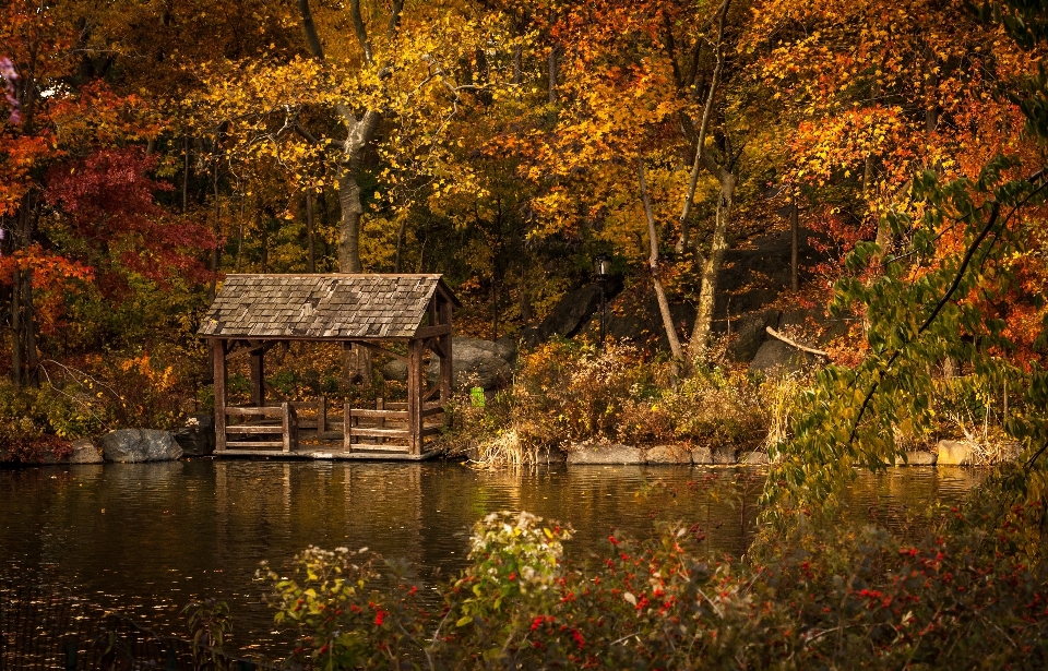 Landschaft baum wasser natur