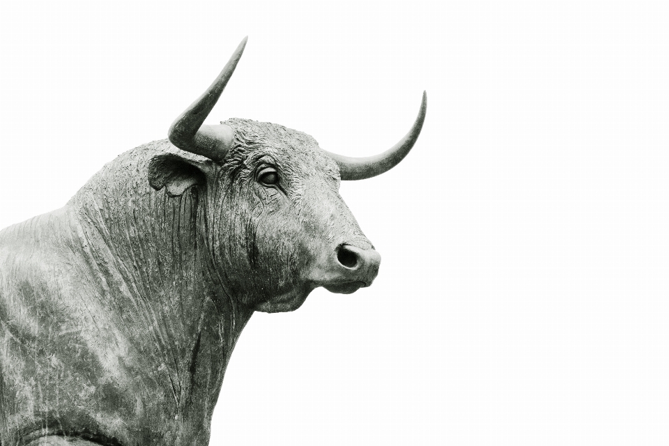 Animal statue horn portrait