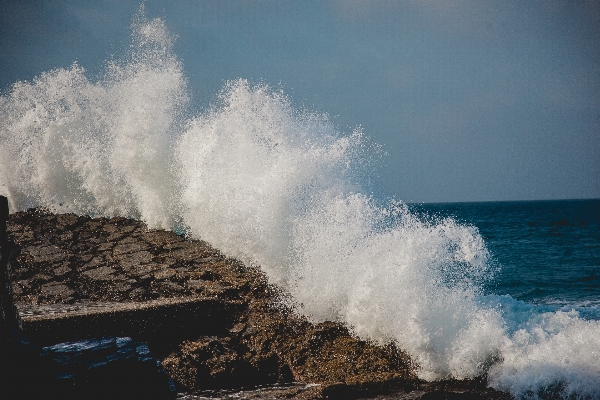 Beach sea coast water Photo