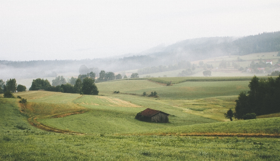 пейзаж природа трава открытый