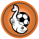 значок FC Lorient