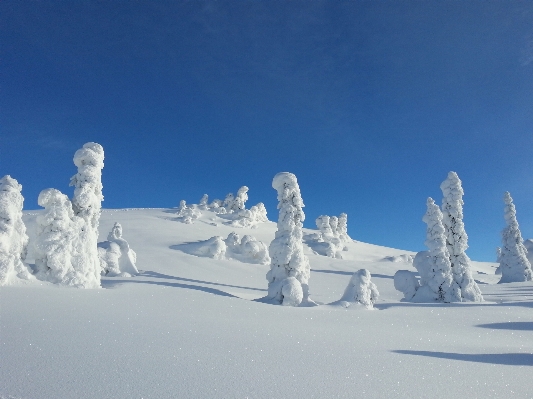 Foto Montaña nieve frío invierno