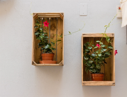 Holz blume fenster wand Foto