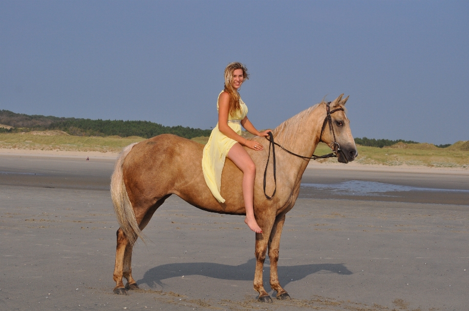 ビーチ 夏 女性 馬に乗って
