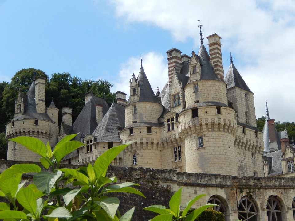 Architettura edificio chateau
 francia