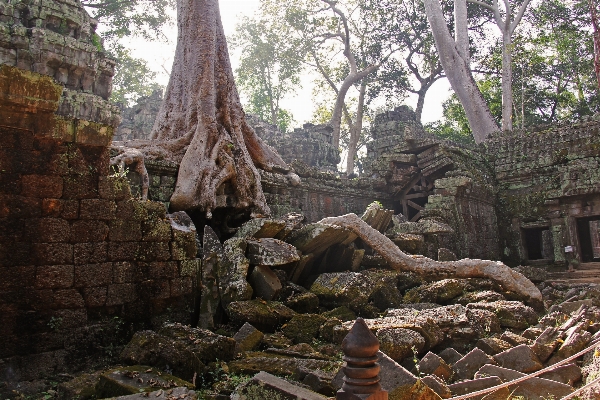 木 森 rock 建築 写真