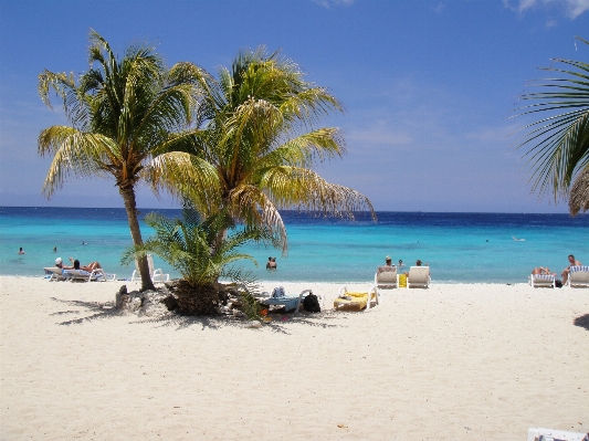 Beach sea coast sand Photo