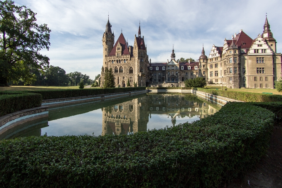 Edificio castillo
 palacio río