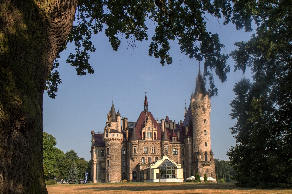 Gebäude chateau
 schloss anbetungsstätte
