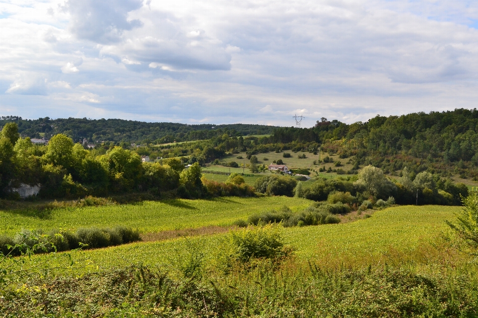 Landscape nature grass mountain