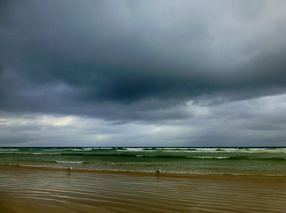 ビーチ 海 海岸 海洋