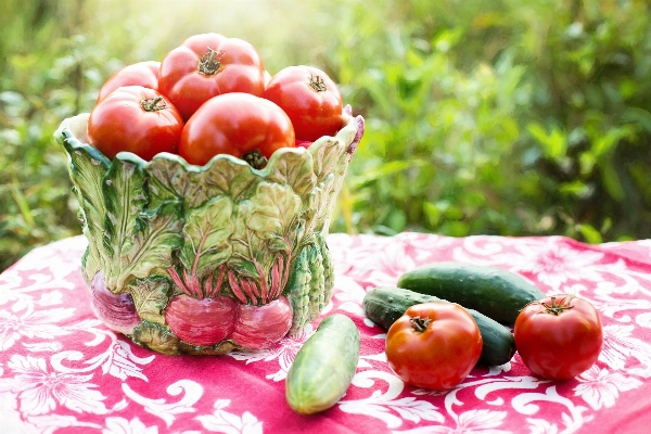 Nature plant fruit flower Photo