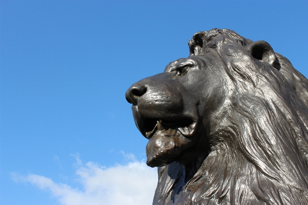 Foto Cielo monumento statua scultura