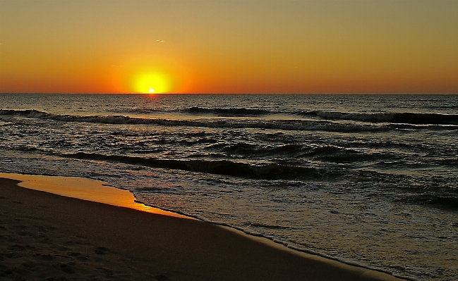 Beach sea coast nature Photo