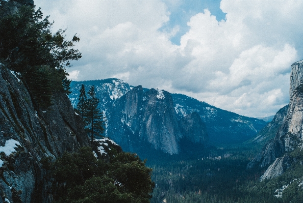 Landscape tree nature forest Photo