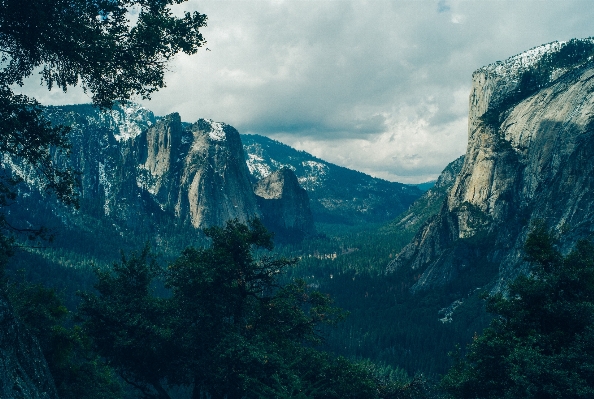 Landscape tree nature forest Photo