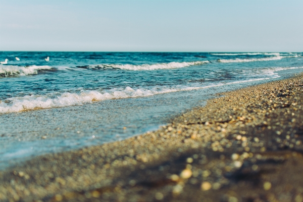 Beach landscape sea coast Photo