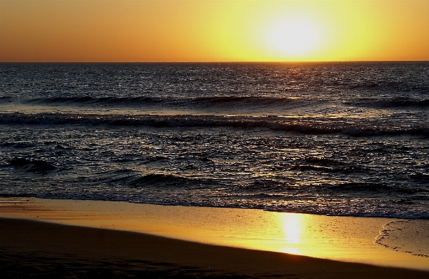 Beach sea coast water Photo