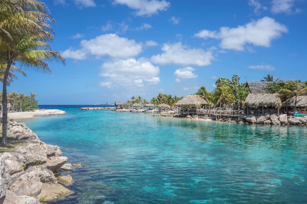 Beach landscape sea coast Photo