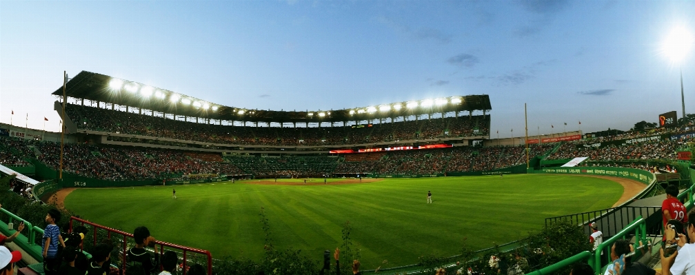 Grass abstract structure baseball Photo