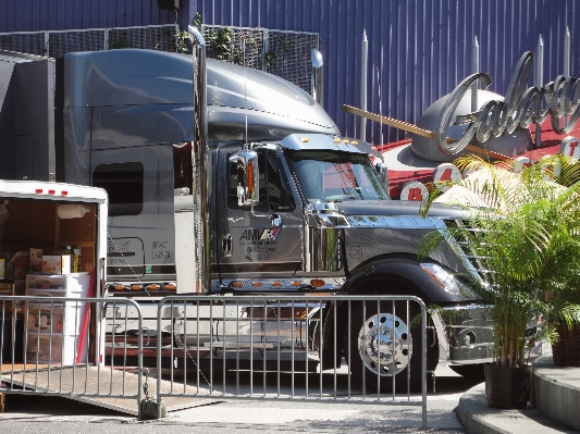 Car transport truck vehicle Photo