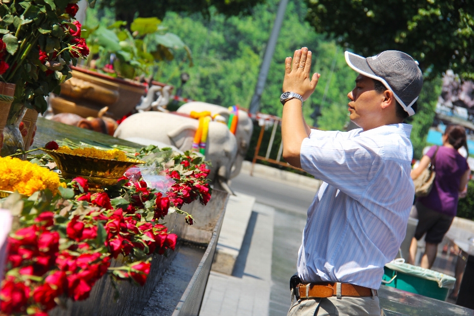 Blume beten
 thailand beten