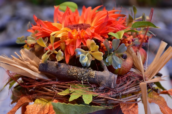 Plant leaf flower bouquet Photo