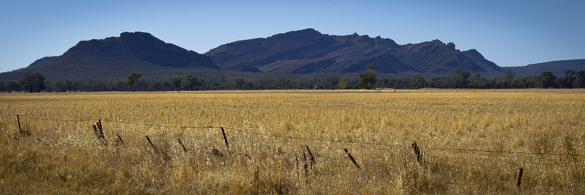 Landscape grass horizon wilderness Photo