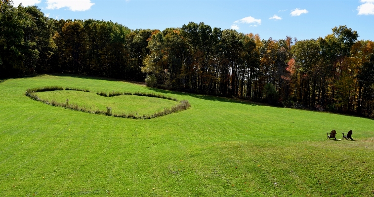 Nature grass structure field Photo