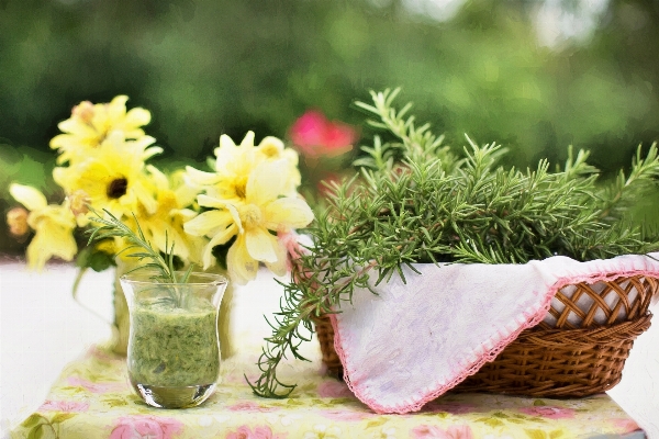 Plant flower petal food Photo