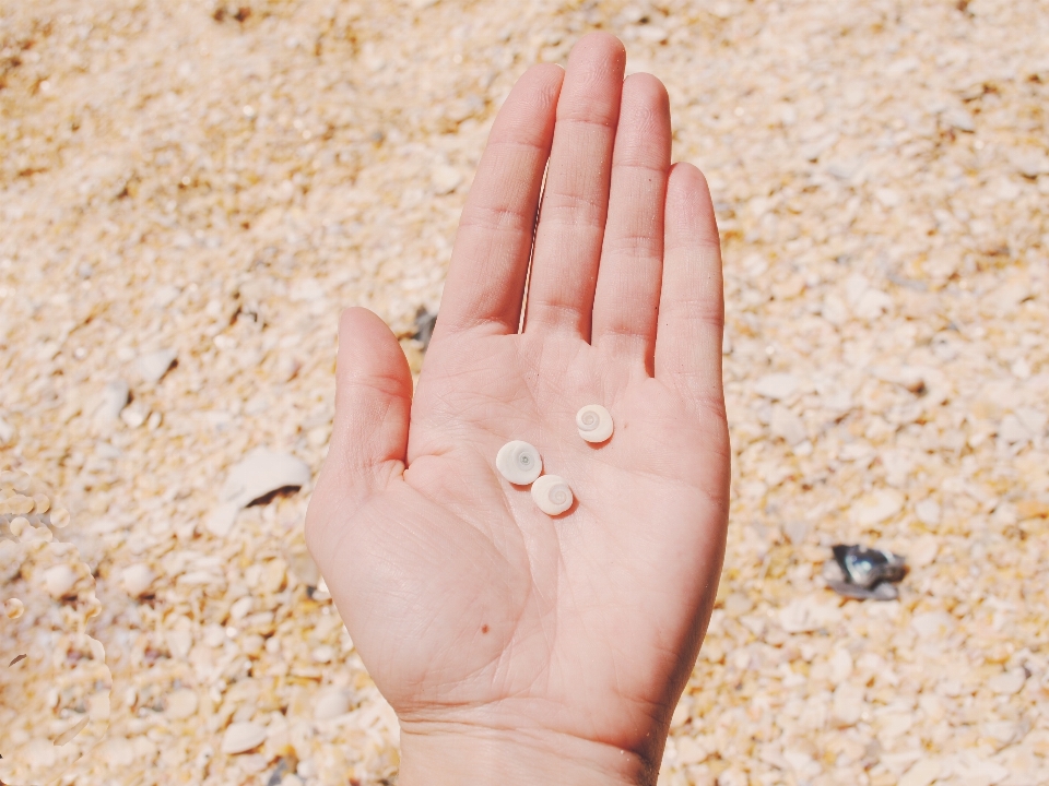 Hand beach sand woman