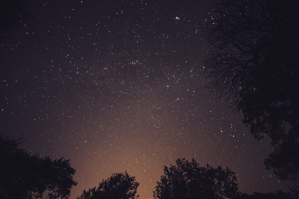 空 夜 星 天の川
