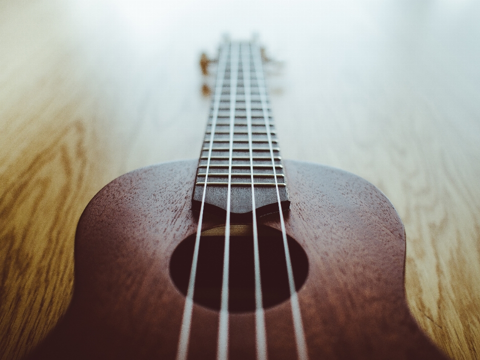 Main musique guitare acoustique