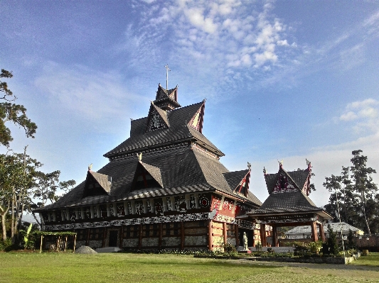 Zdjęcie Dom budynek pałac
 zamek