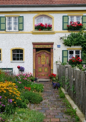 Lawn house flower window Photo