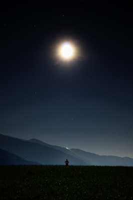 Light sky night star Photo